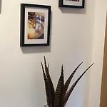 Apartment Olga Cantabria *