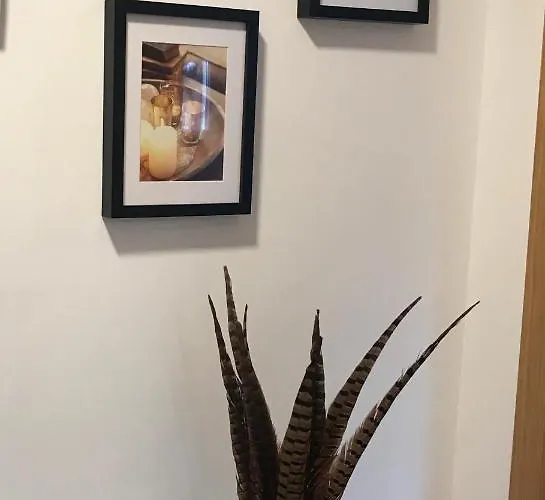 Apartmán Olga Cantabria *