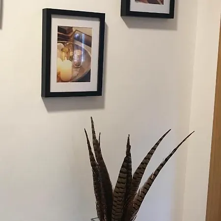 Lägenhet Olga Cantabria *